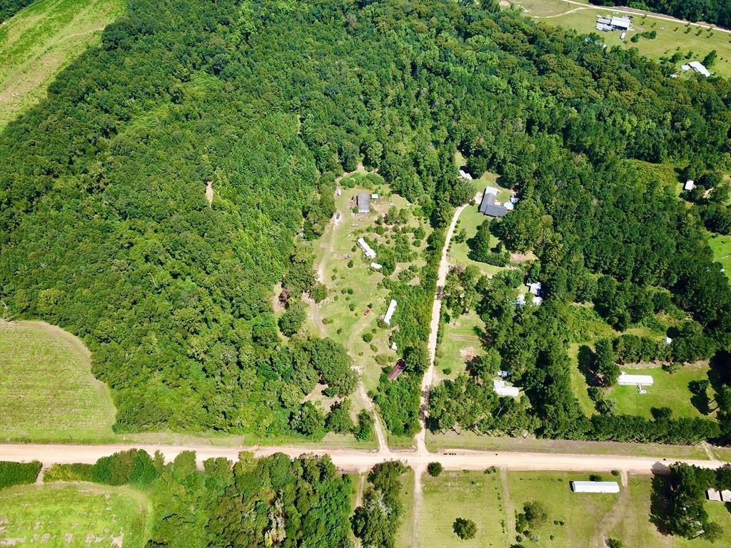 Picture 15