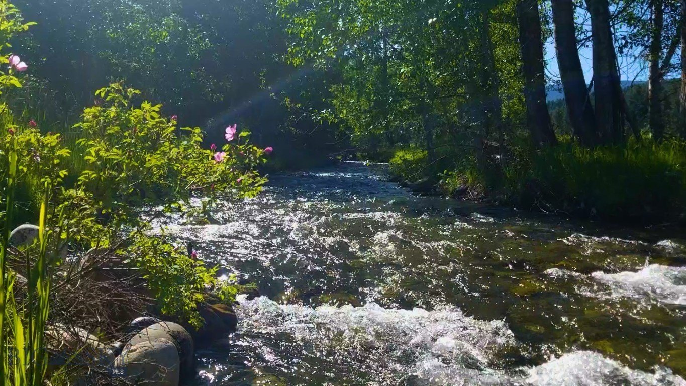 40 Acres of Pristine Land