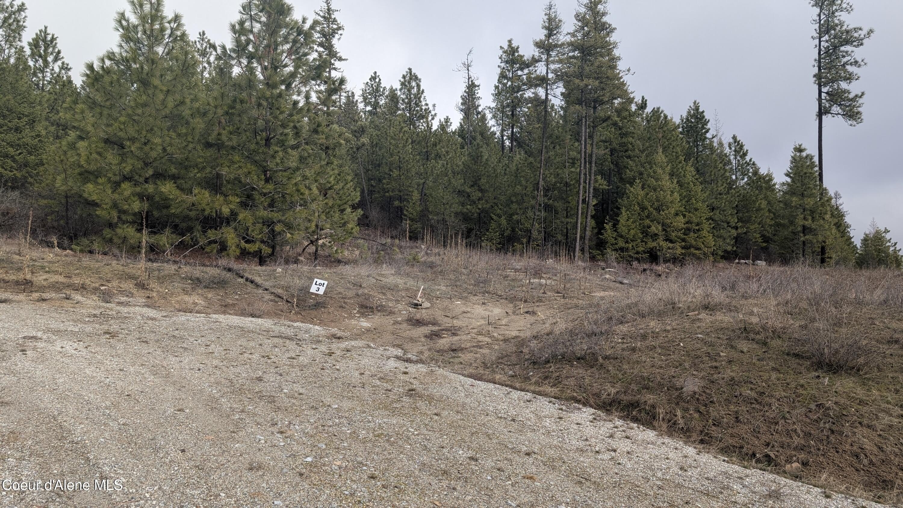 Treed Land Parcel in Athol