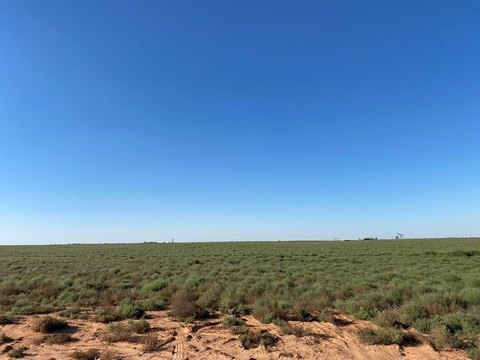 Residential Land in Midland, TX