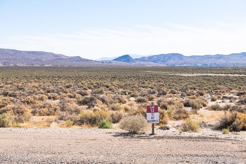 Land, Smith Valley, NV