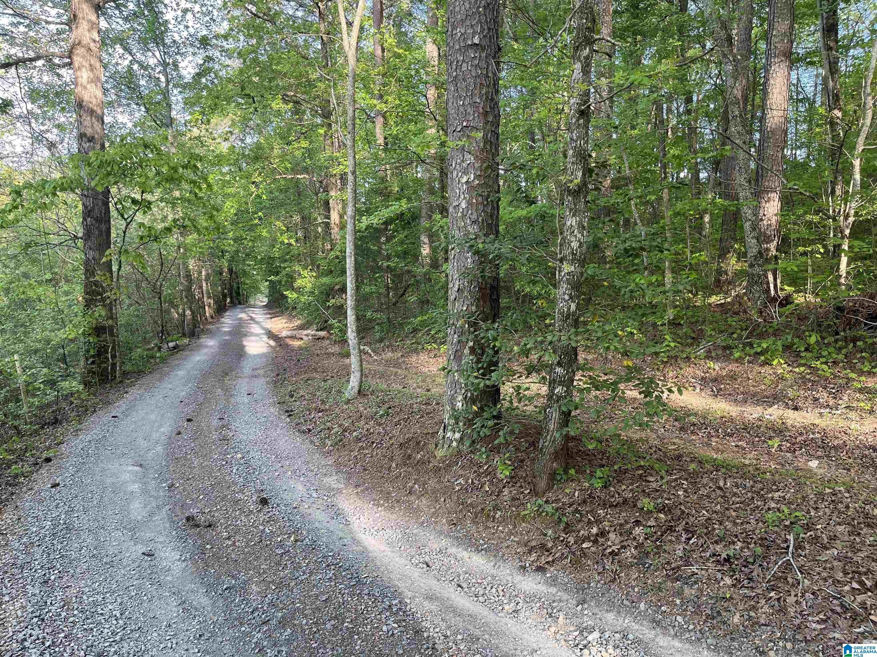 2.52 Acre Wooded Lot
