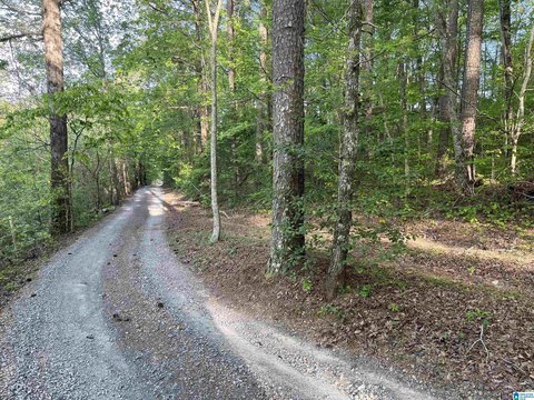 2.52 Acre Wooded Lot