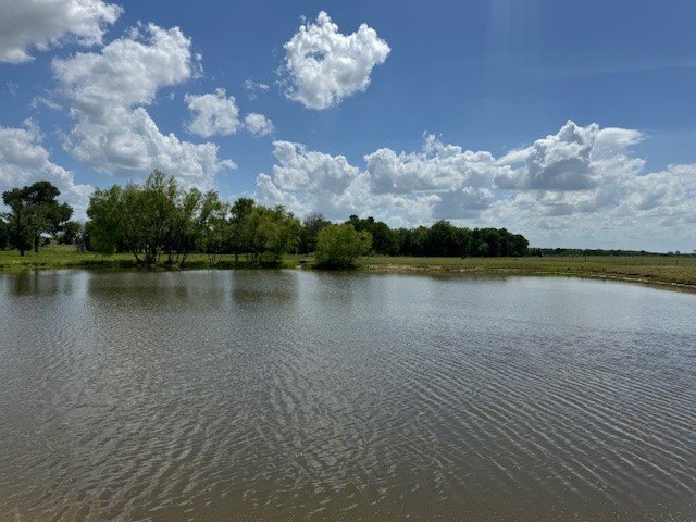 Picture 4