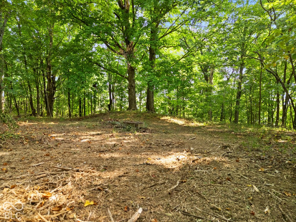 Picture 14