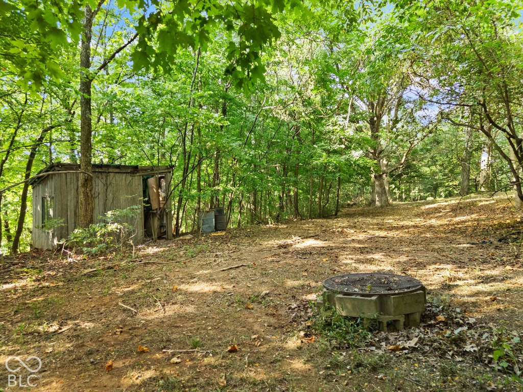 Picture 15