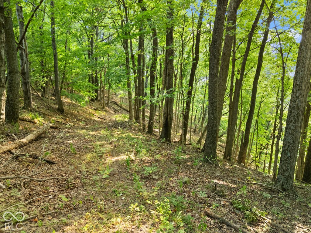 Picture 19