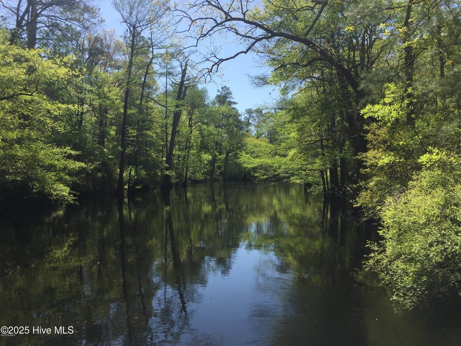 Waterfront Land in Burgaw, NC