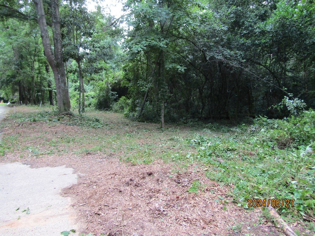 Picture 3