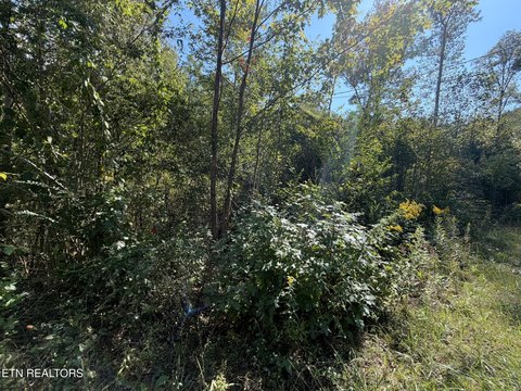 Lots & Acreage, Oakdale, TN