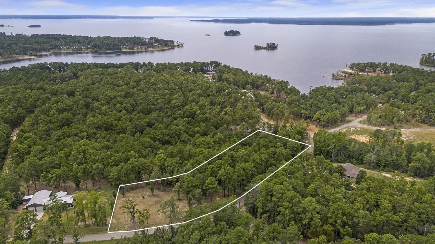 Cleared Land in Rayburn Country