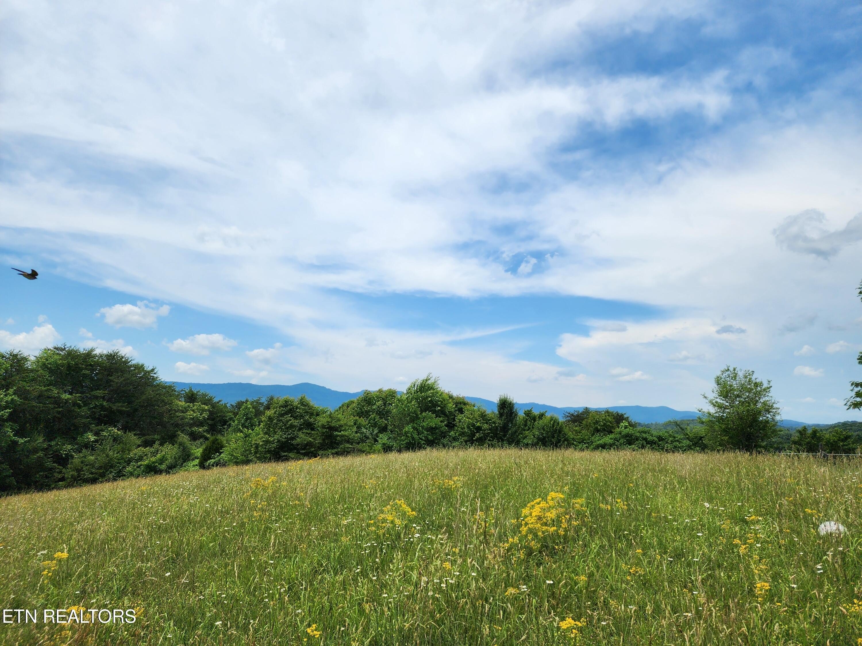 Residential Land in Lake Access Community