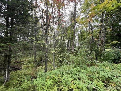 Waterfront Land on Brule Lake