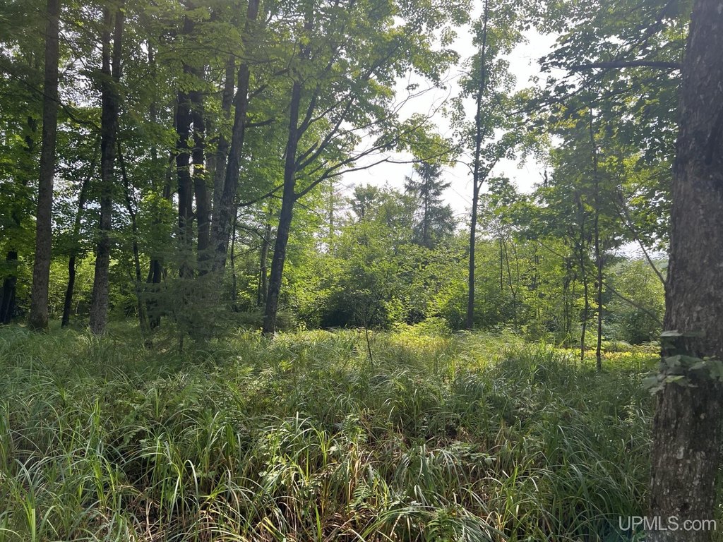 Picture 3