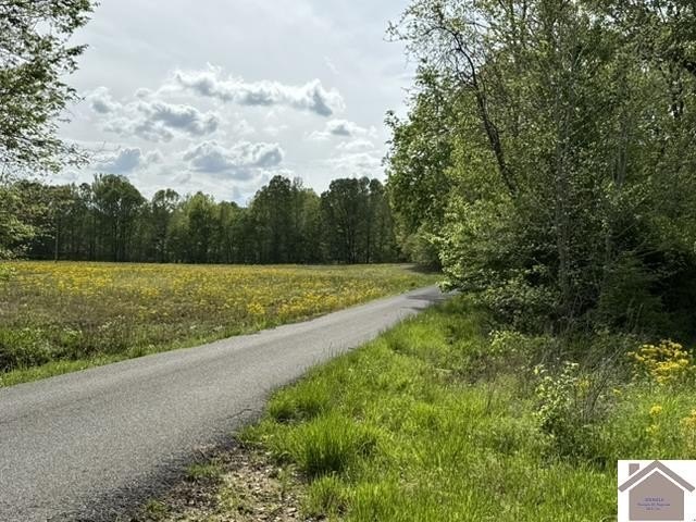 Picture 16