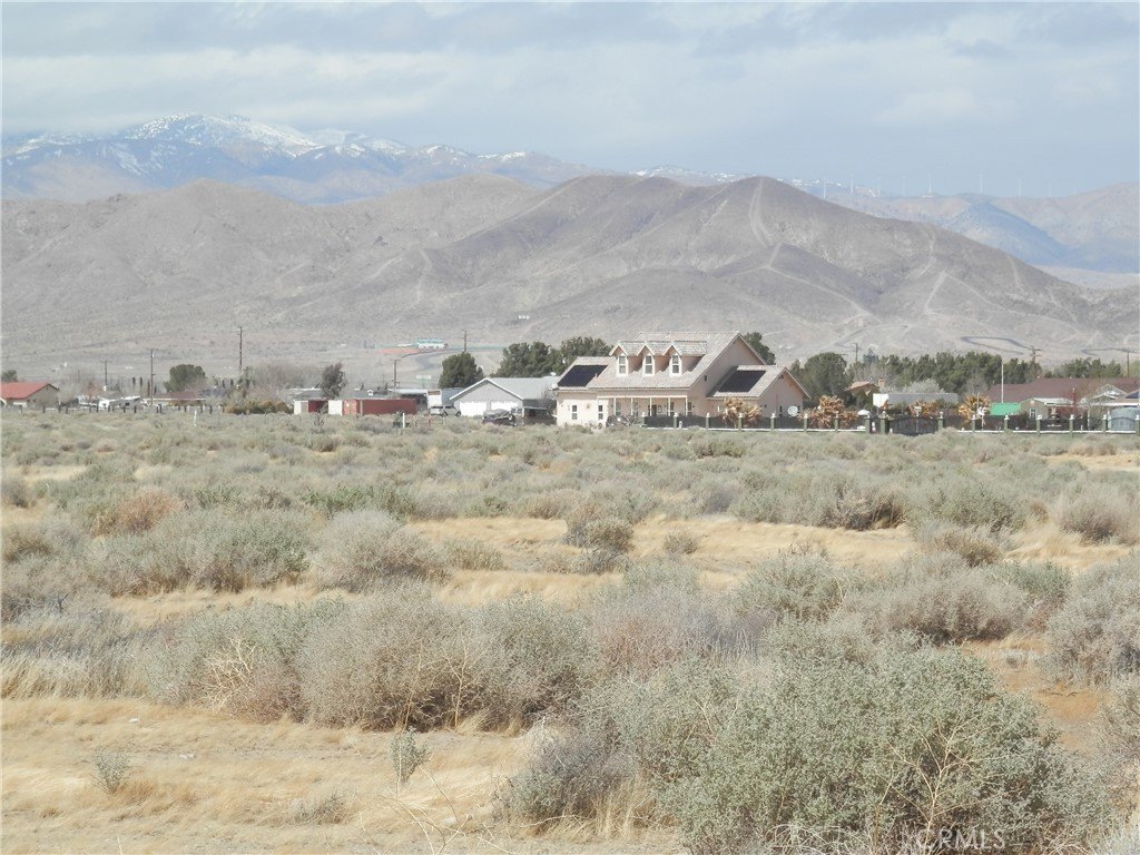Picture 13