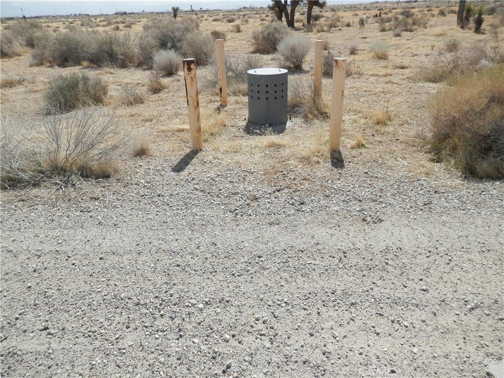 Picture 11