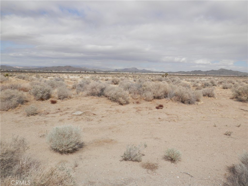 Picture 6