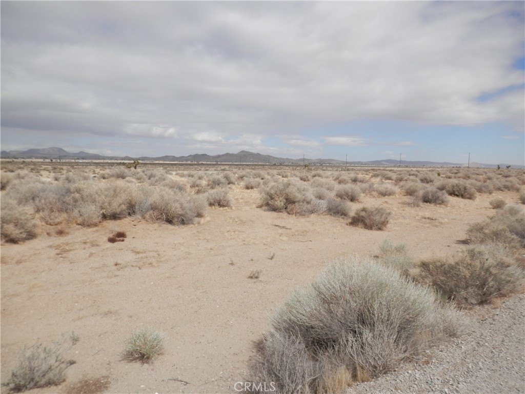 Picture 4