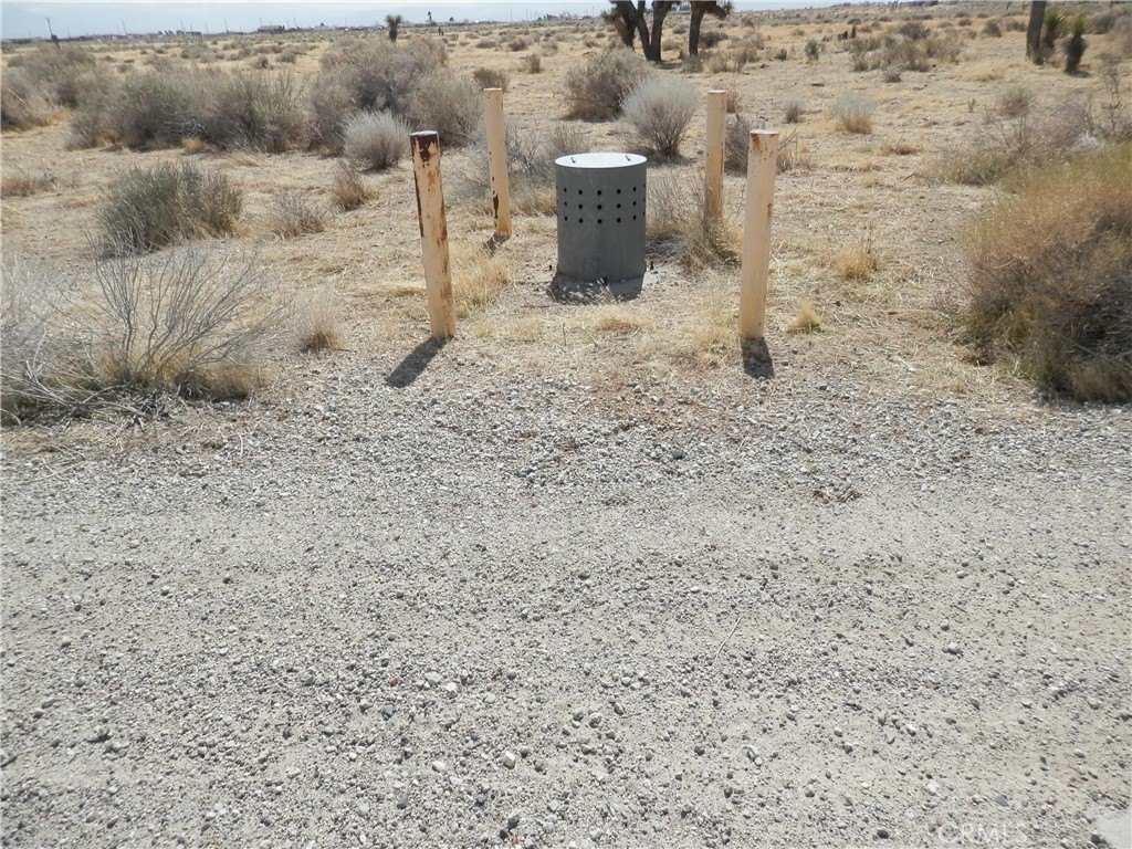 Picture 11