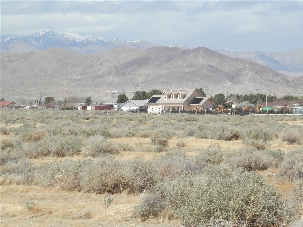 Picture 13