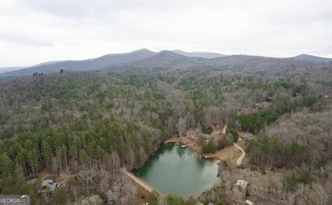 Vacant Lot, Blue Ridge, GA