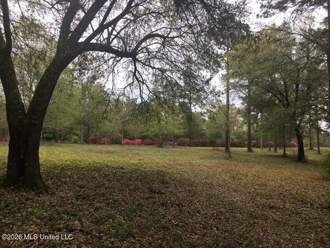 Poplarville Land with Lake Access