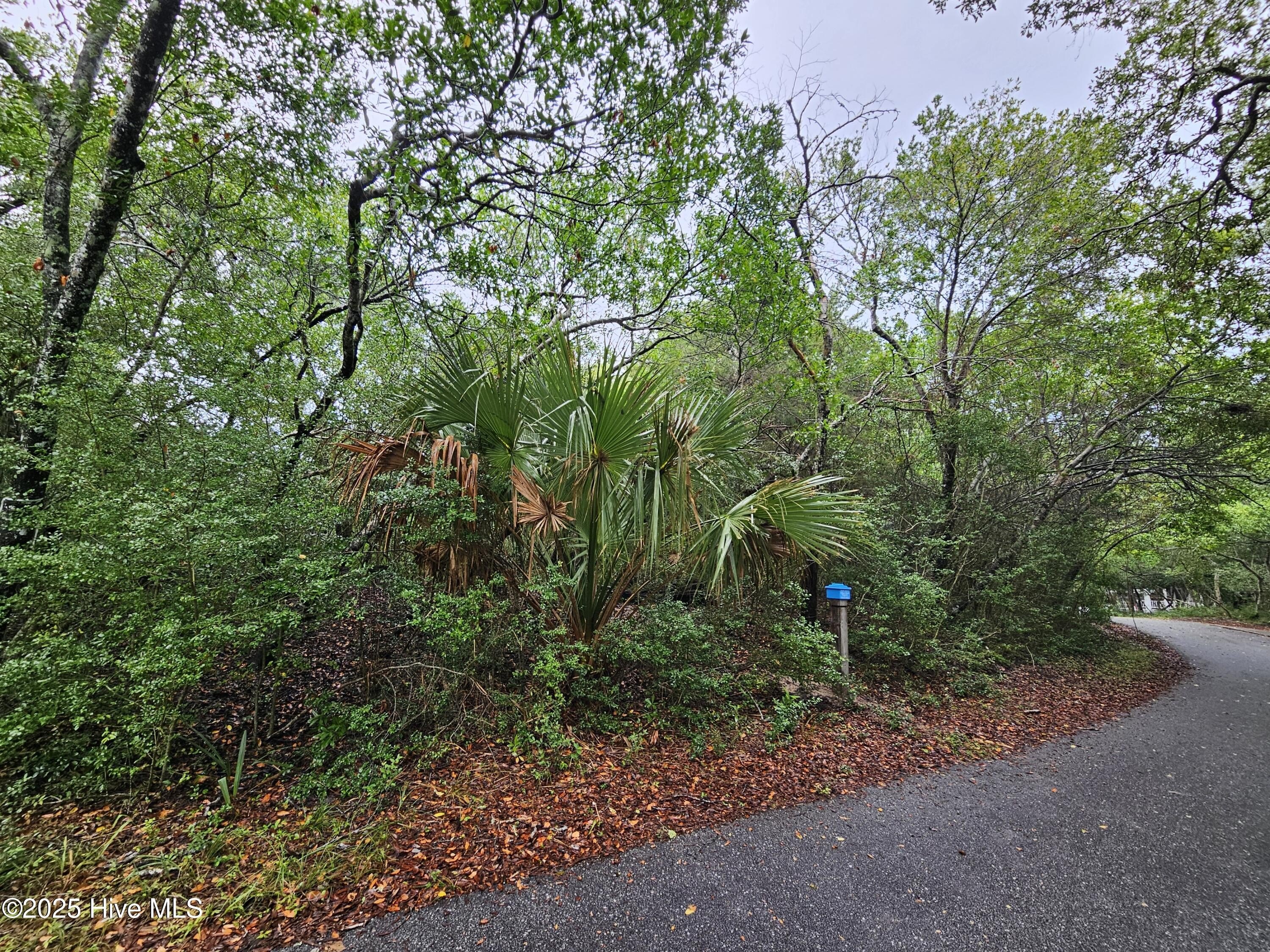 Land in Cape Fear Station