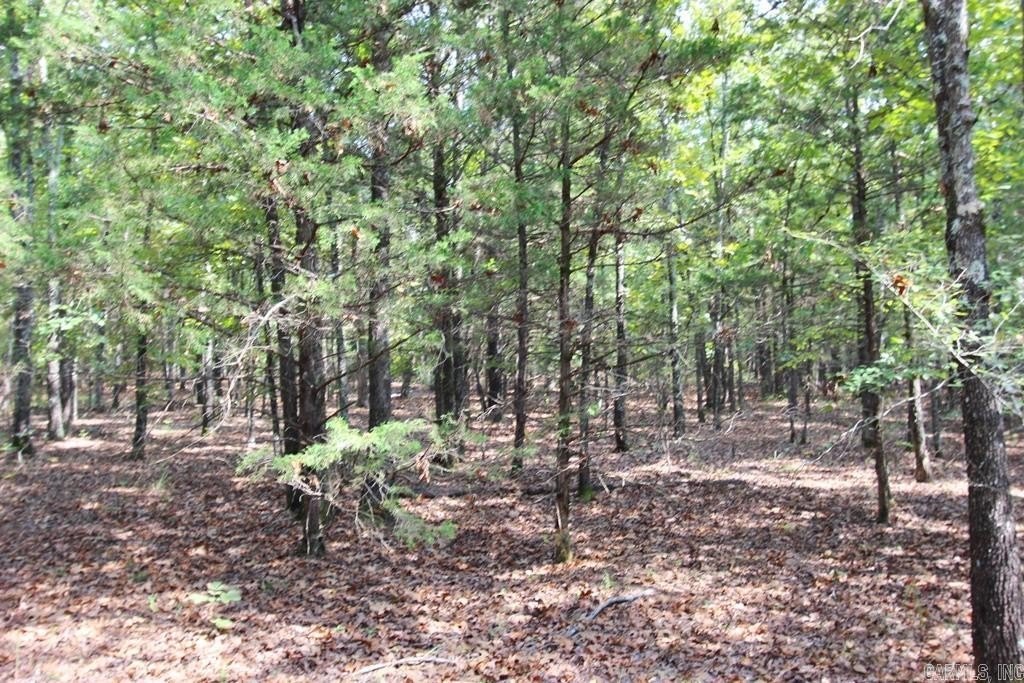 Picture 16