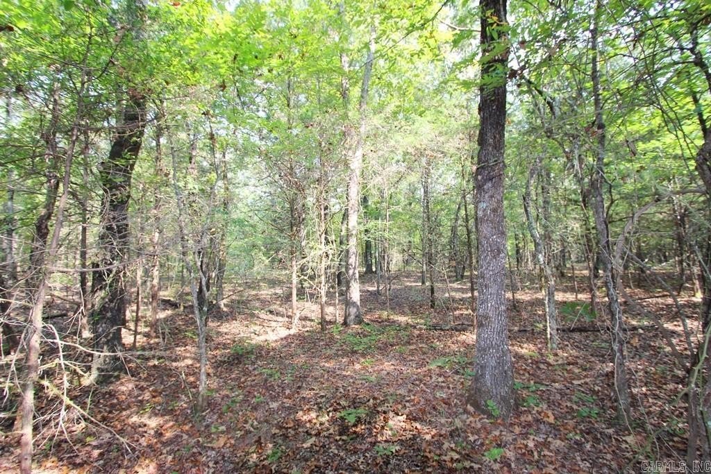 Picture 9