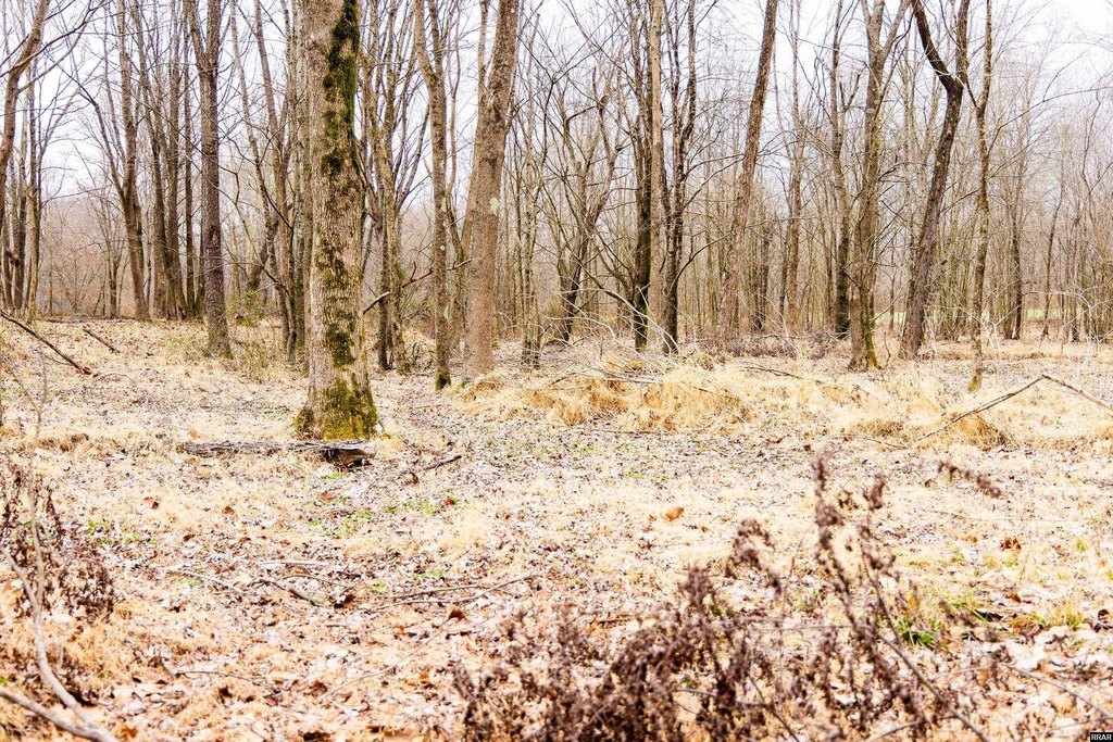 Picture 38