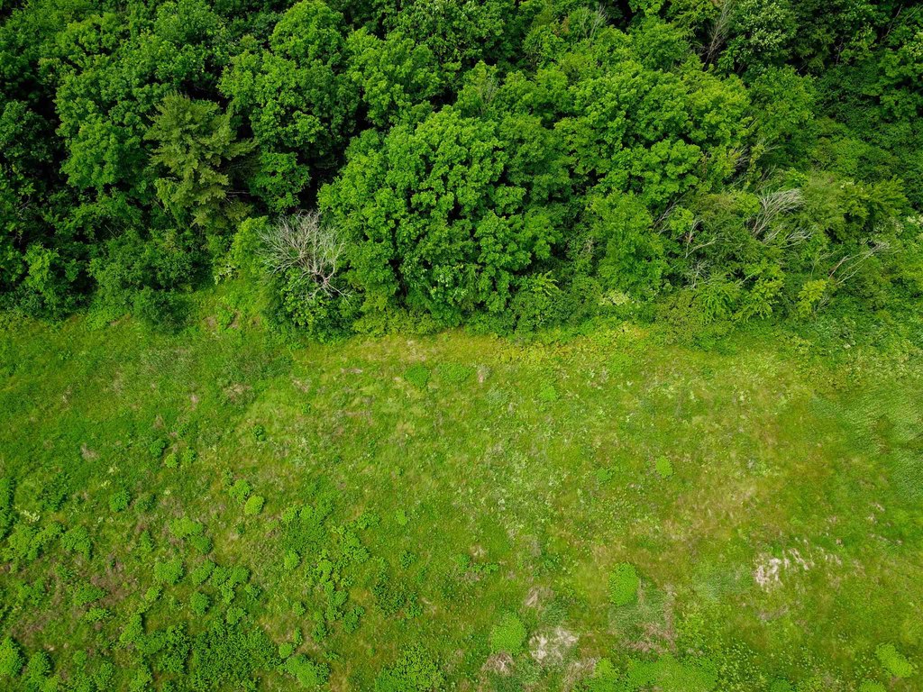 Picture 47