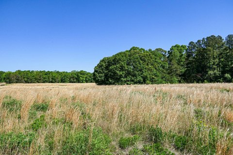 Gaffney Homesite with Acreage