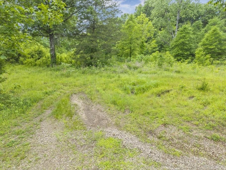 Picture 9