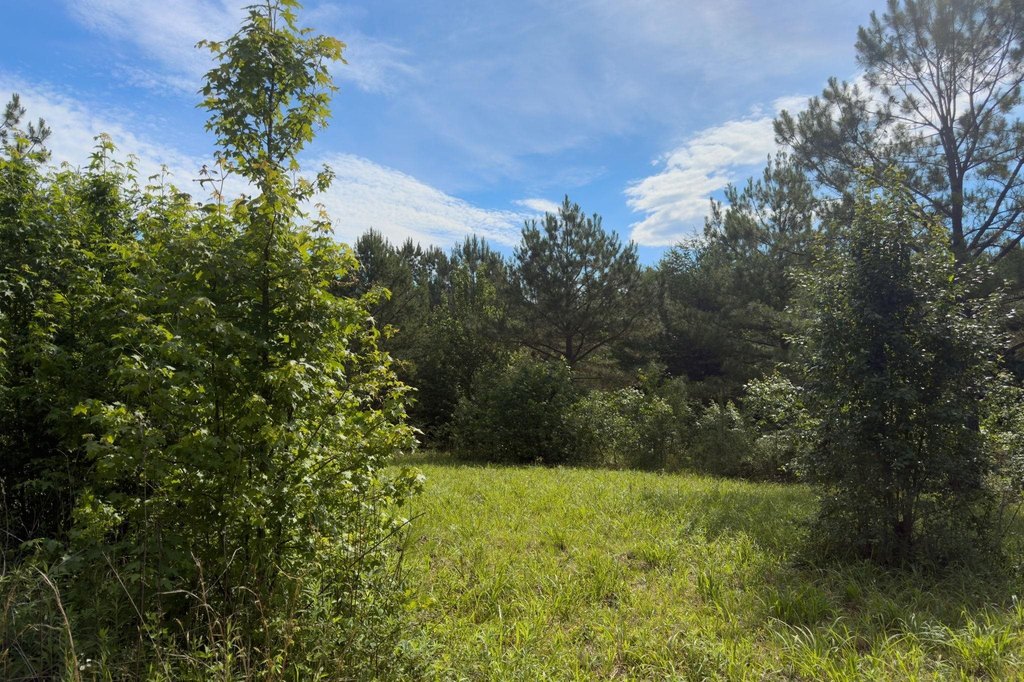 Picture 9