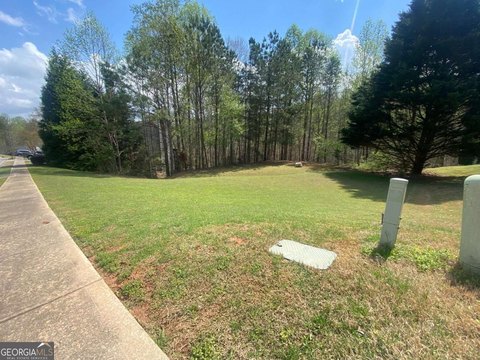 Residential Land in Flowery Branch