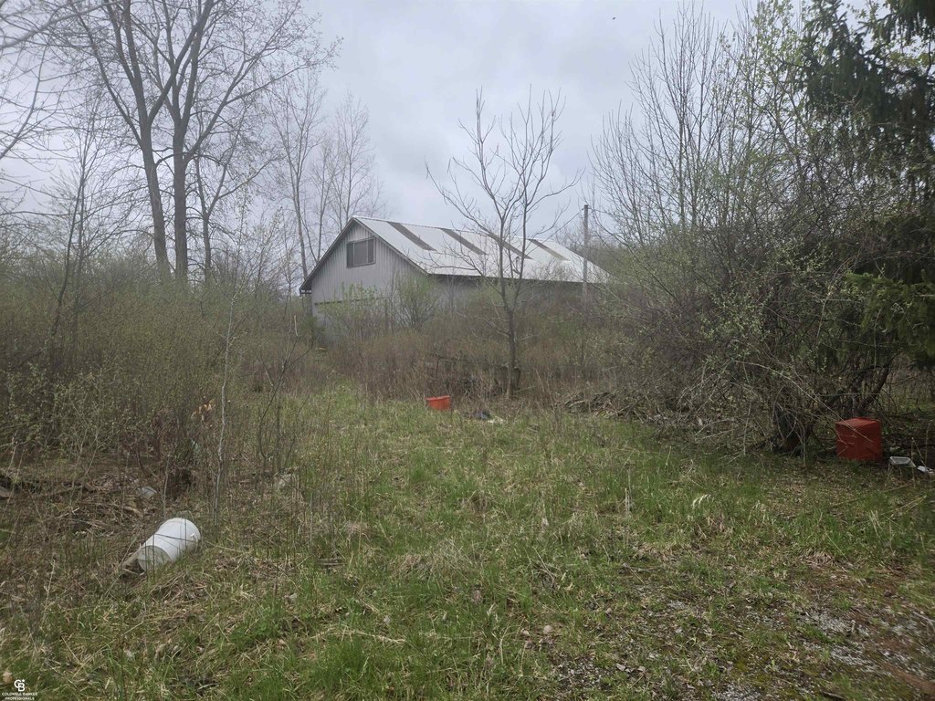 Picture 4