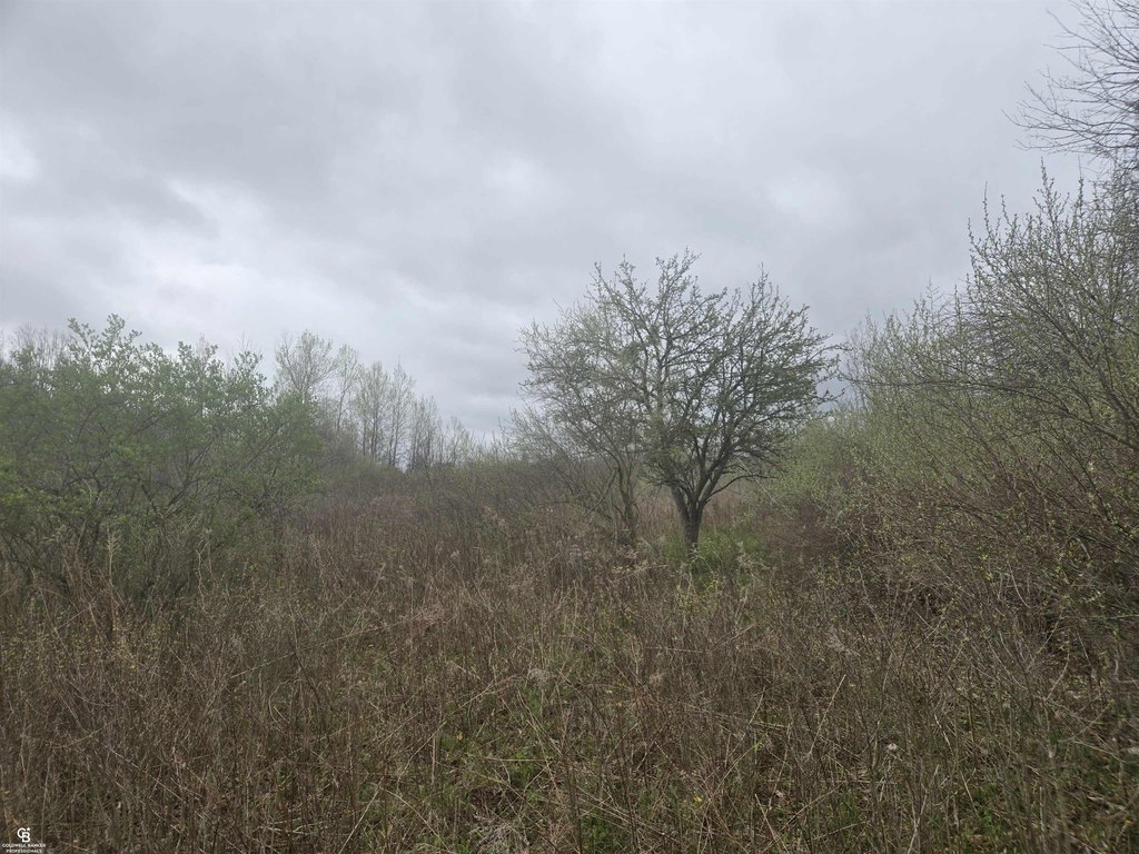 Picture 10