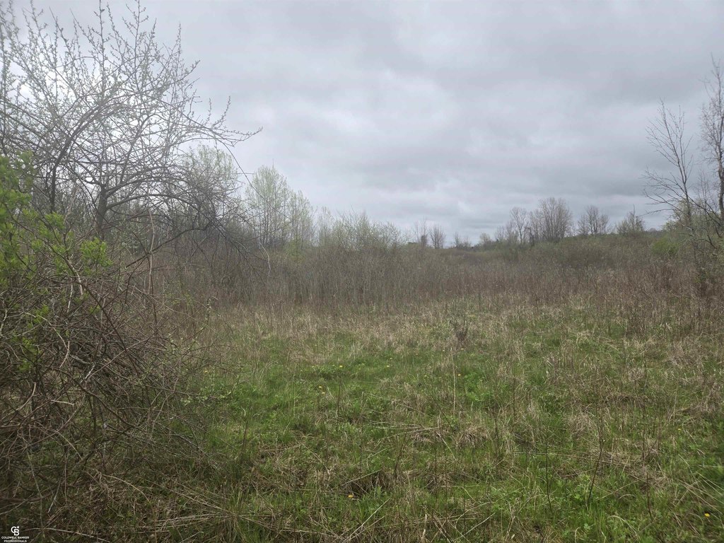 Picture 8