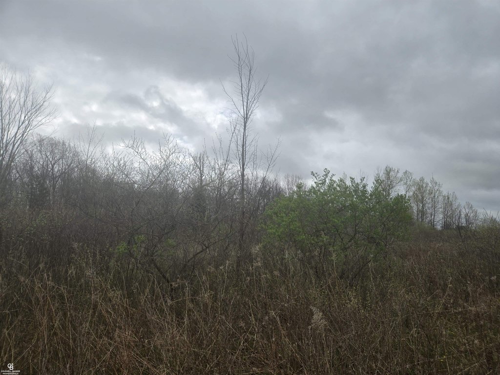 Picture 6