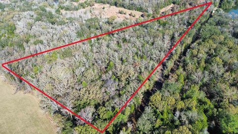 Heavily Wooded Acreage in Canton, TX