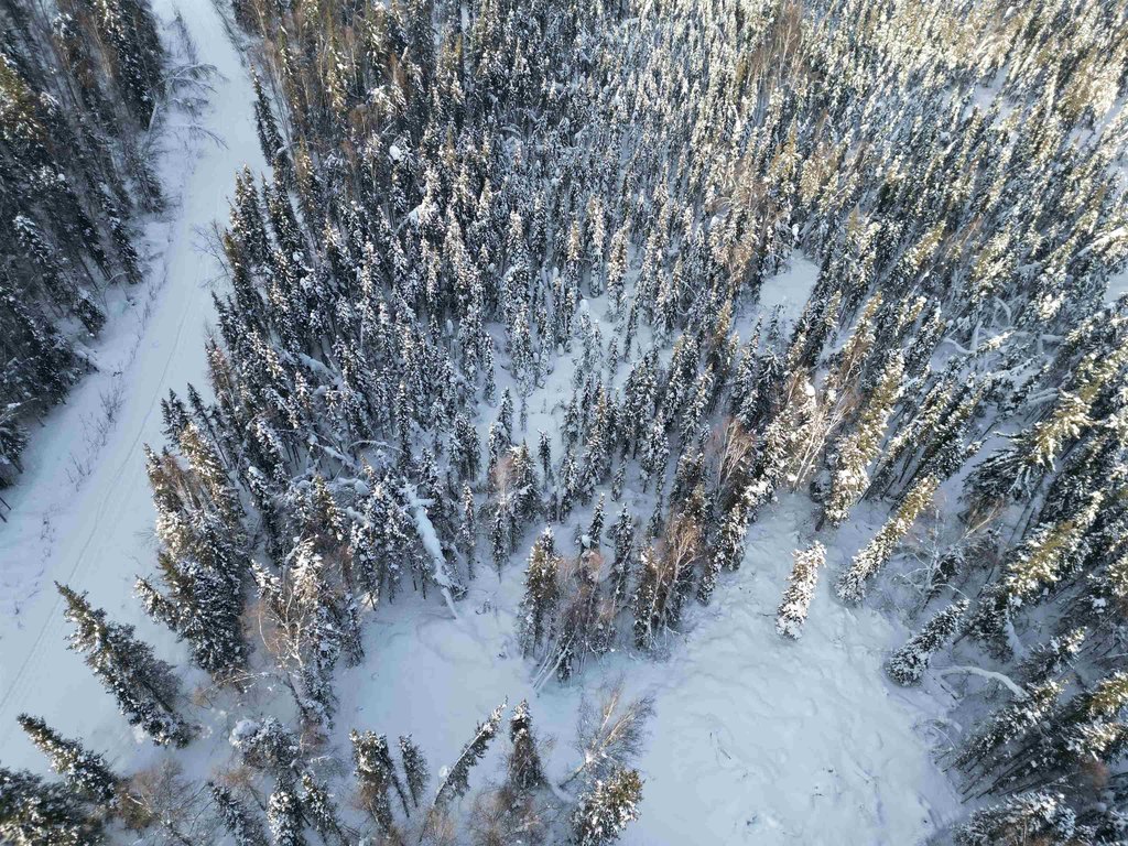 Picture 6