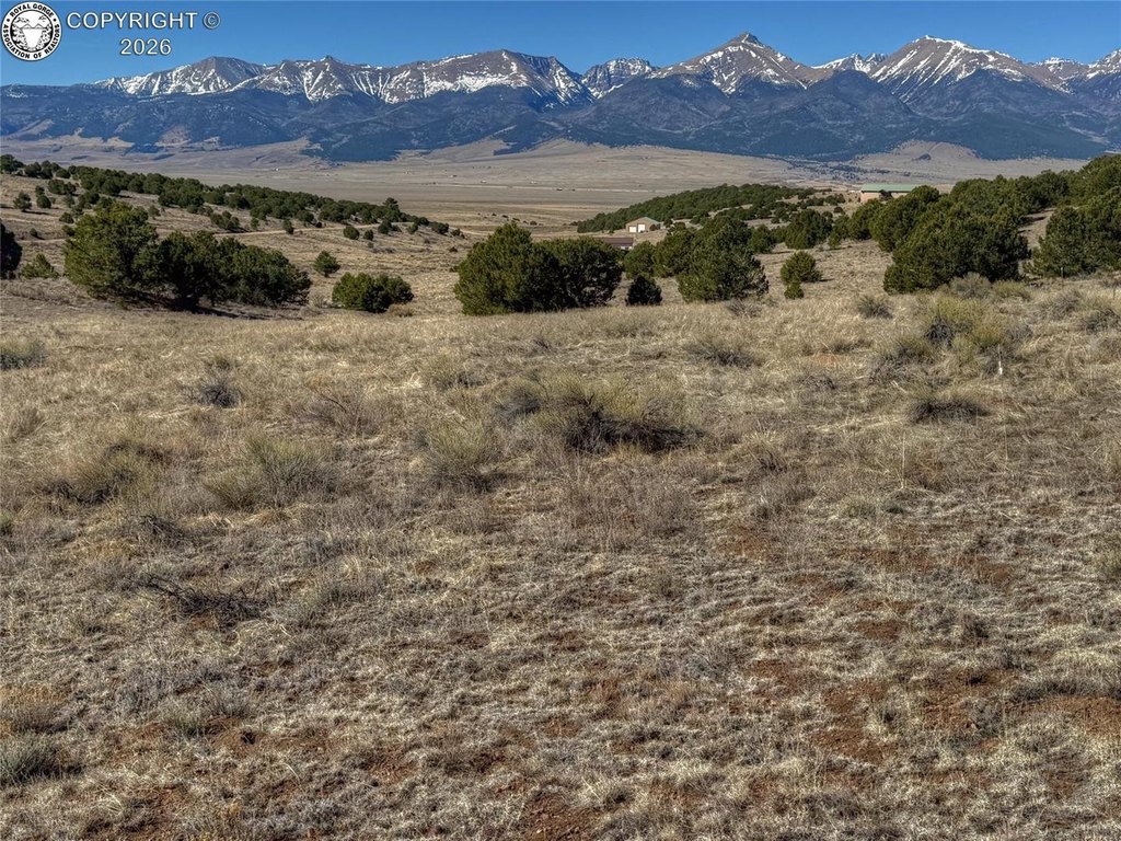 Picture 22