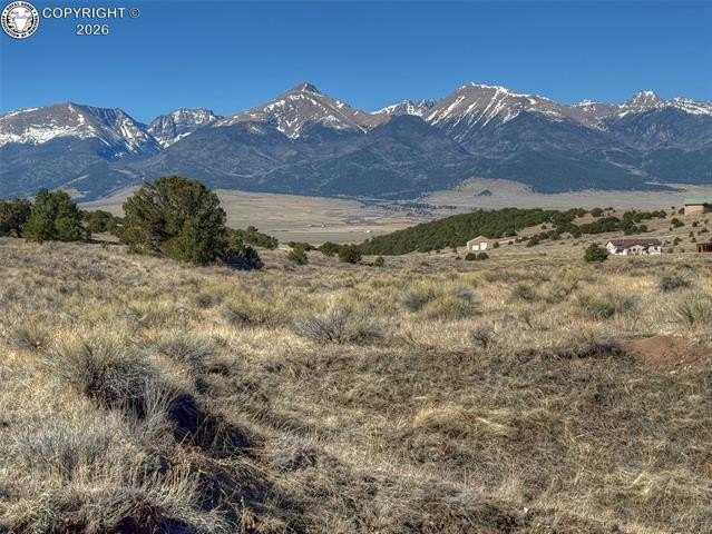 Picture 24