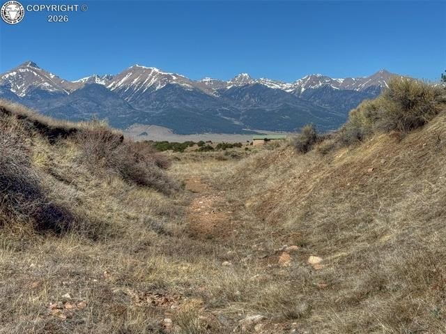Picture 20