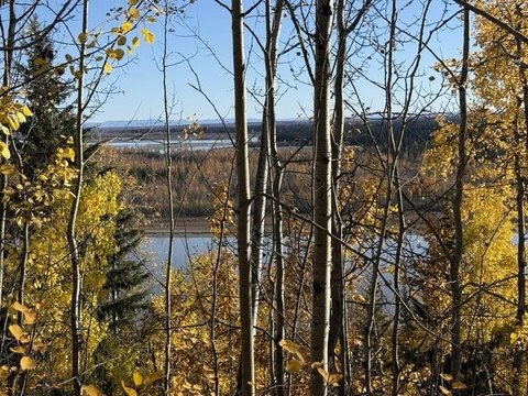 LAND, Fairbanks, AK