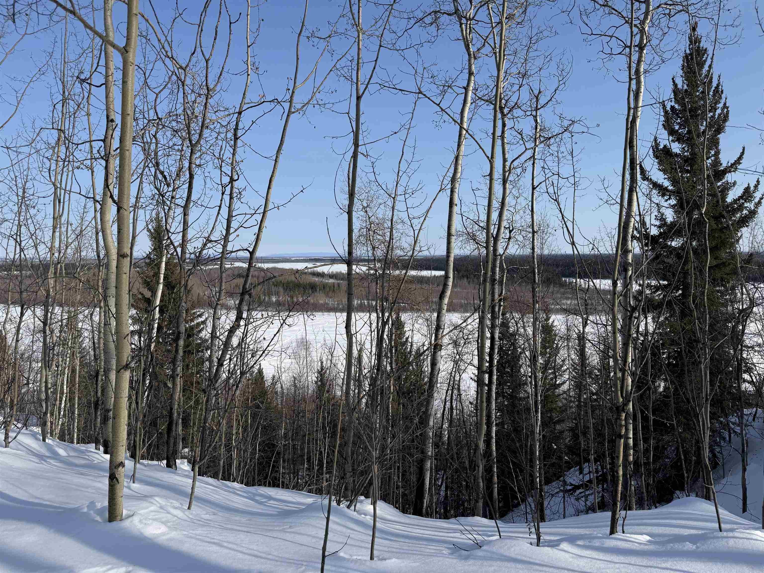 Fairbanks Land with River Views