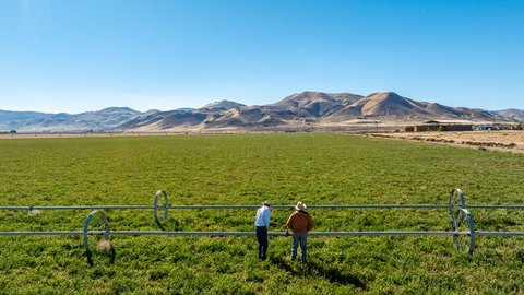 Productive Irrigated Alfalfa Farm