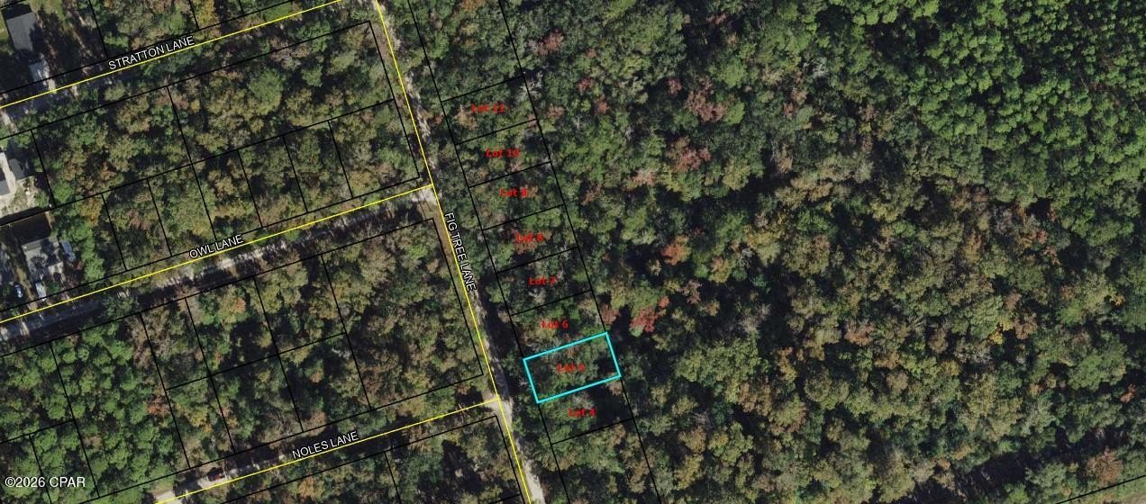 Crawfordville Vacant Land Opportunity