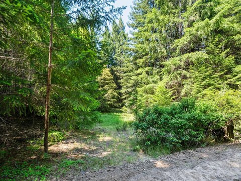 Forested Acreage in Philo, CA